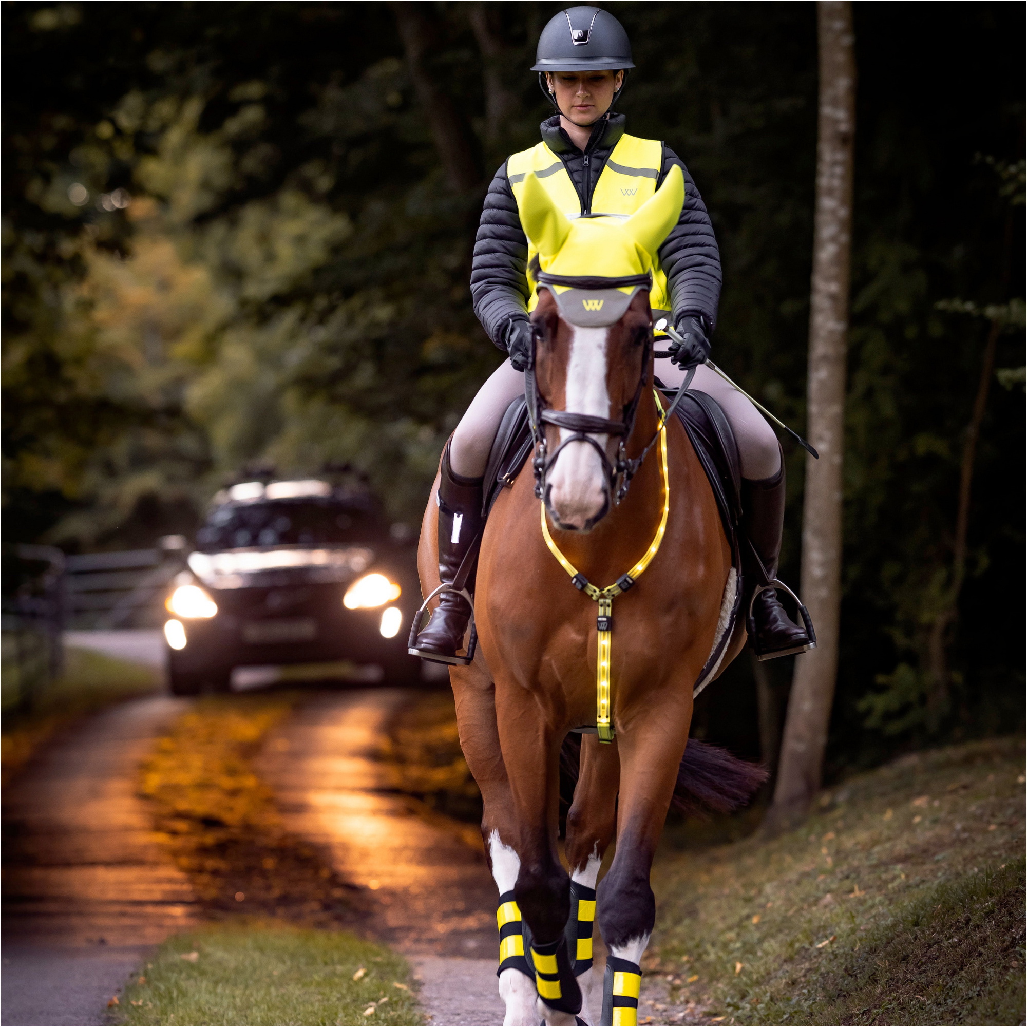 2025 Woof Wear LED Neck Band WS0035 - Hi Viz